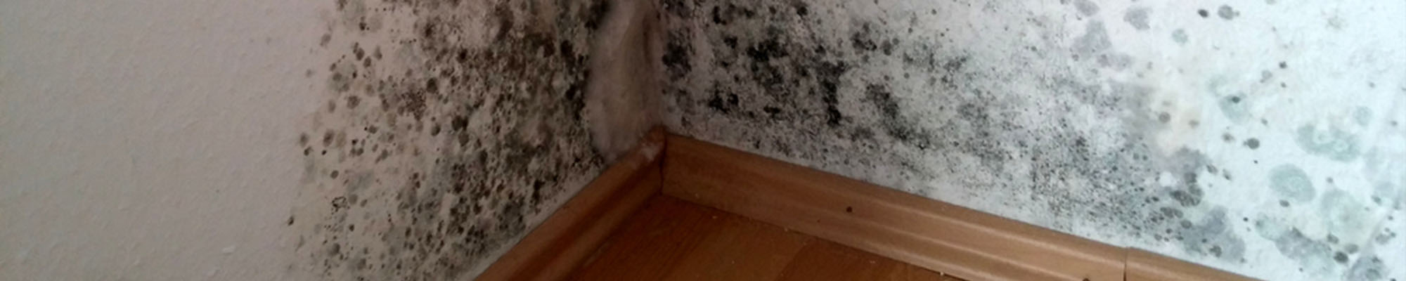 Condensation & black mould in room corner