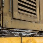 What Is Dry Rot