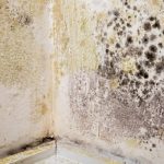 Damp Proofing Your Home