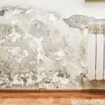 Treating Damp Problems