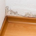 Are You Liable For Damp Proofing
