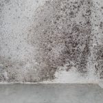 Why Damp Is Bad For Your Health