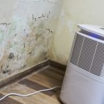 Condensation Could Be In Your Property