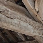 woodworm beams