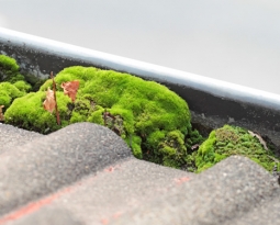 Tips for Damp Proofing Exeter