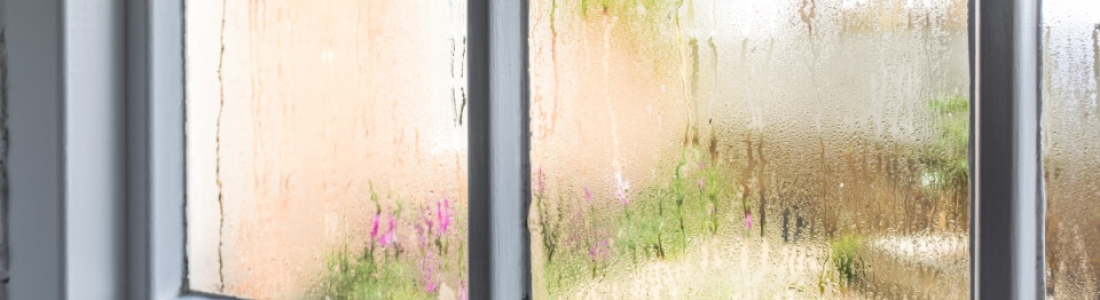 Do I Have A Condensation Problem?