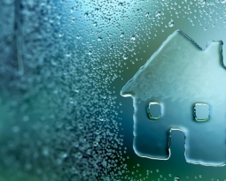 Condensation Advice Exeter