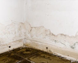 Wet Rot Prevention